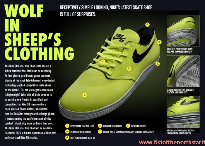 Nike Sb Lunarlon