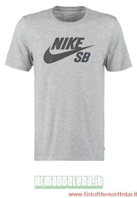Nike Sb On-line Grigio